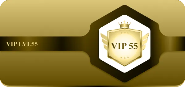 VIP55