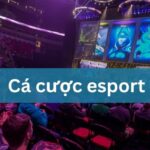 Cá cược Esport tại Hi88: Hướng dẫn cách đặt kèo cho newbie