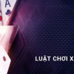 Hướng dẫn cách chơi xóc đĩa online, chẵn lẻ luôn thắng