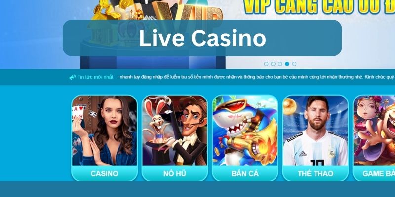 live casino