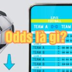 Odds là gì? Hướng dẫn cách đọc tỷ lệ kèo bóng đá chi tiết