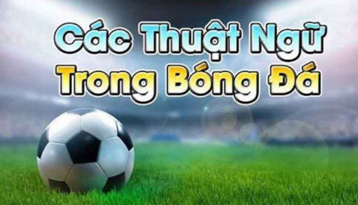 Thuật ngữ cá cược bóng đá là những từ ngữ chuyên ngành